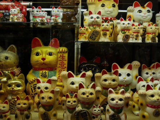Lucky Cat Museum